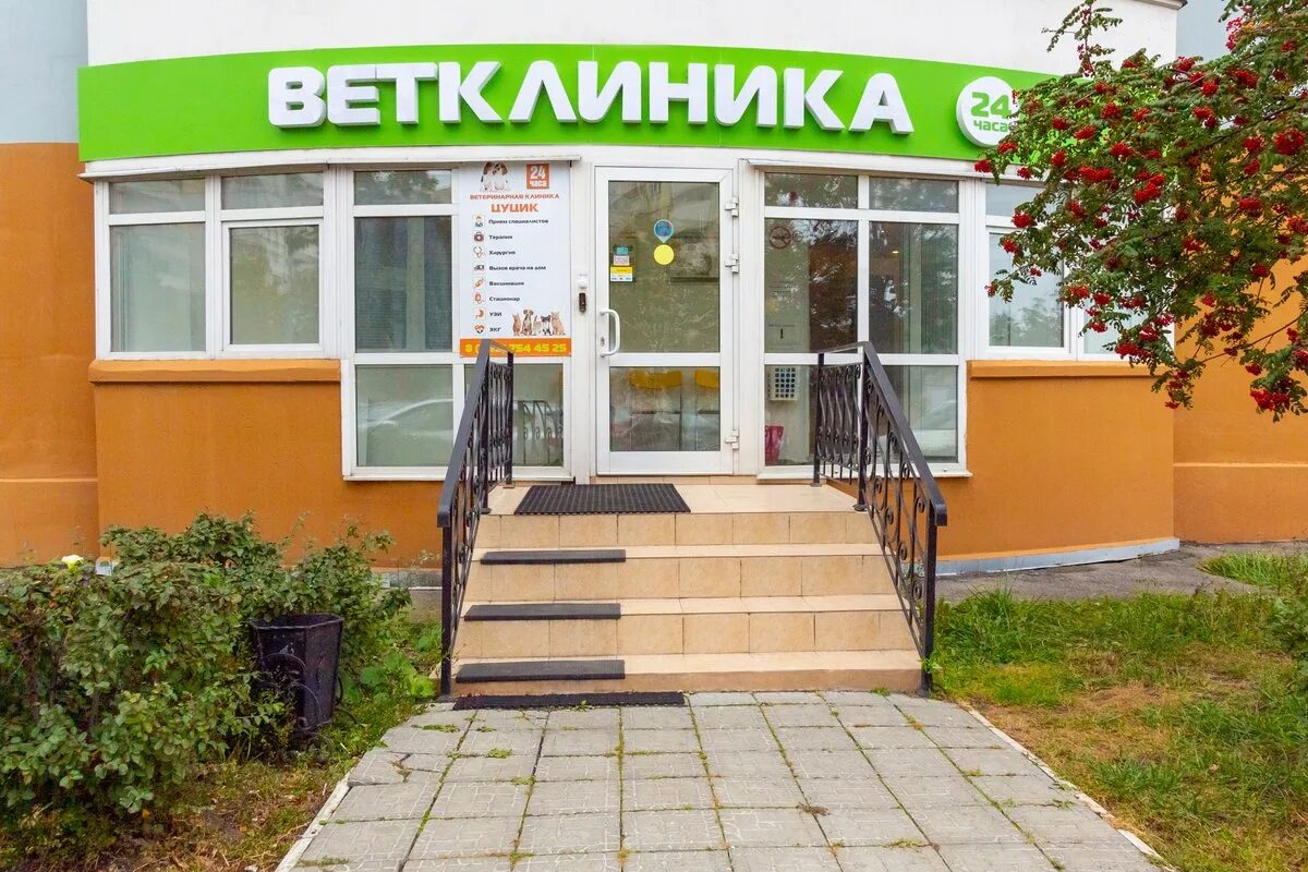 Ветклиника цветочный проезд 2. Клиника цуцик митино. ветеринарная клиника метро пятницкое шоссе. ветклиника на пятницком шоссе. ветклиника митино пятницкое.