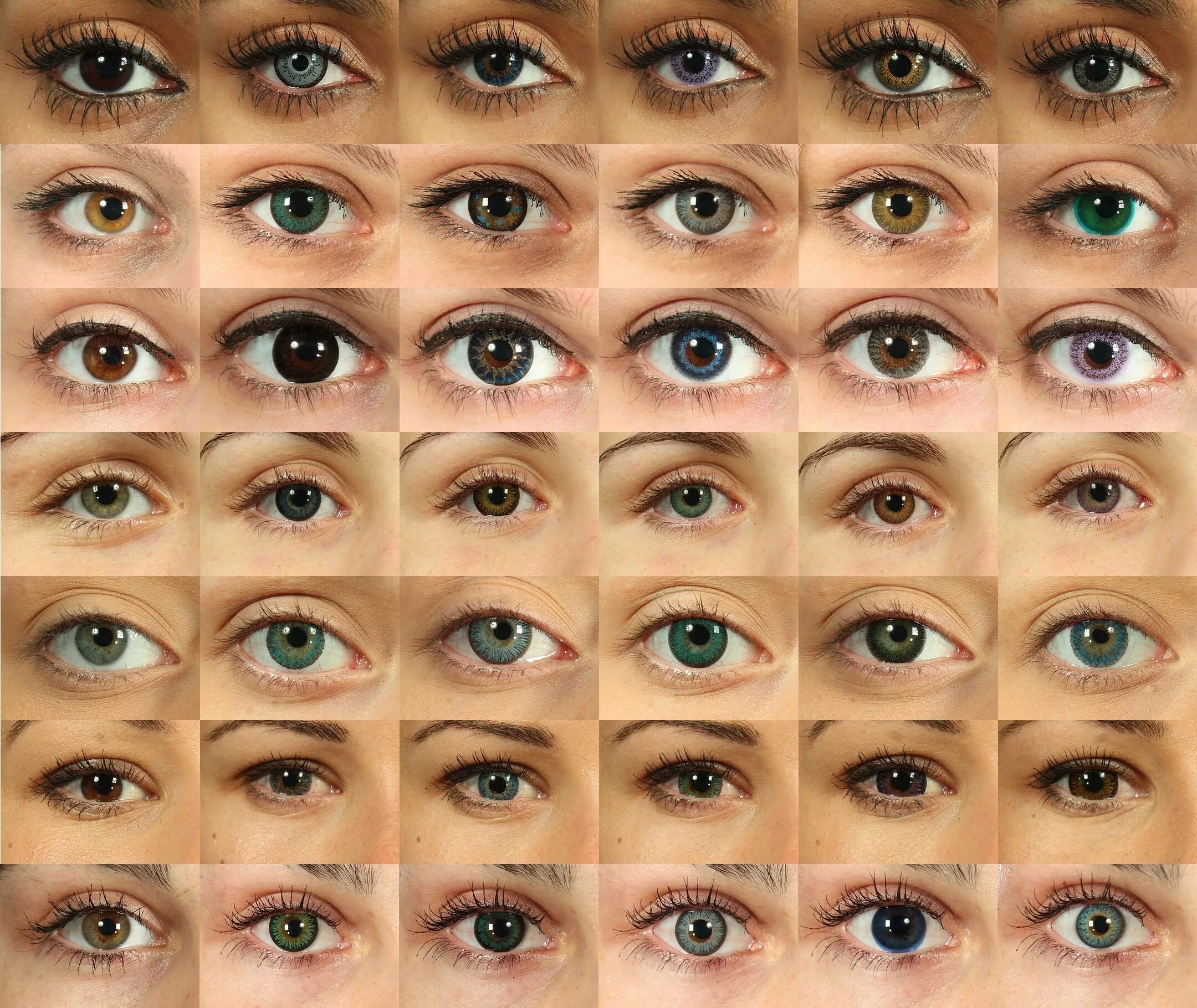 Стандартные линзы. Цвет глаз. Оттенки глаз. Всевозможные оттенки глаз. Расцветка глаз человека.