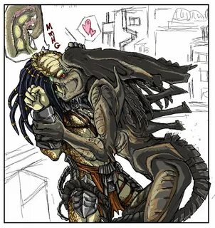 🎀 Nice Guy 🎀 Alien Versus Predator Universe Amino.