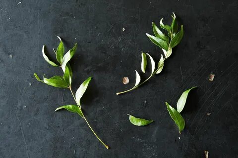Leave leaves