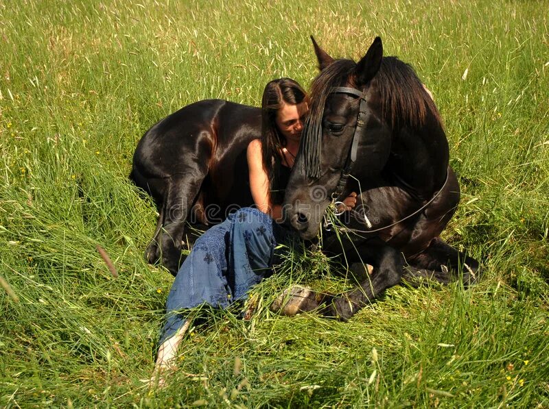 Лошадь лежит. Лошадь валяется. Девушка рядом с лежащей лошадью.