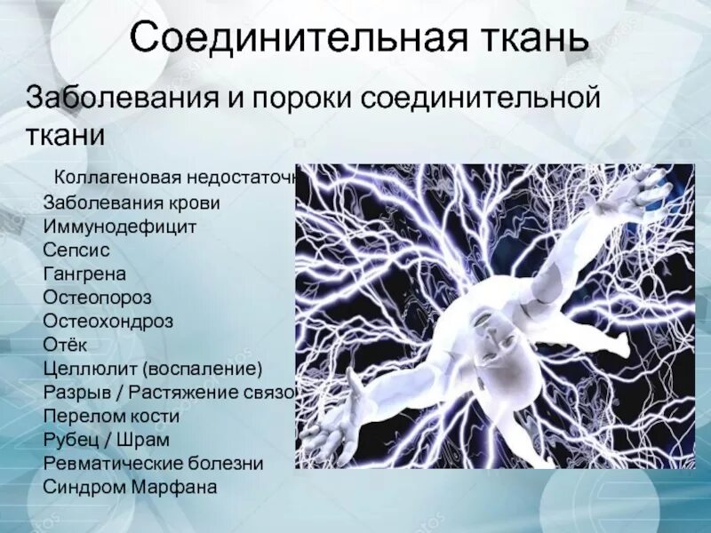Соединительная система человека