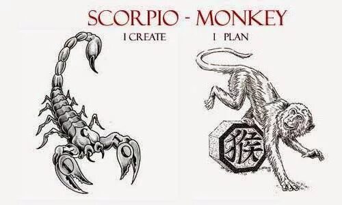 Гороскоп обезьяна скорпион. Обезьяна Скорпион. Обезьяна Скорпион мужчина. Обезьяна знак зодиака и Скорпион. Скорпион обезьяна женщина.