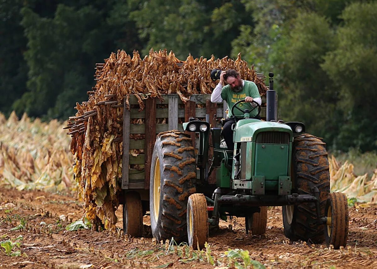 Профессия тракторист 2 класс. Трактор new holland. Почему идет трактор. Шутки про трактор. Мтз 82.