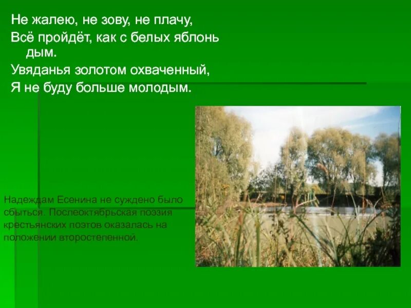 Все пройдет как с яблонь дым. Не жалею не зову не плачу все пройдет как с белых яблонь. увяданья золотом охваченный. всё пройдёт как с белых яблонь дым. есенин с белых яблонь дым.