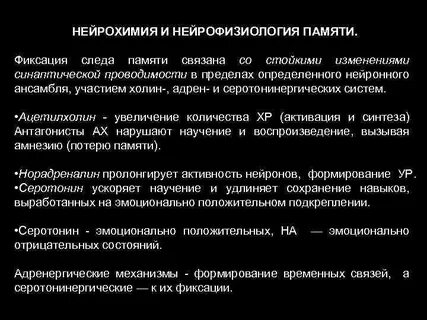 Нейрофизиология это