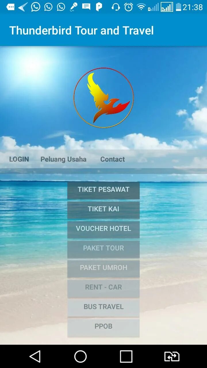 Thunderbird для андроид. Thunderbird.