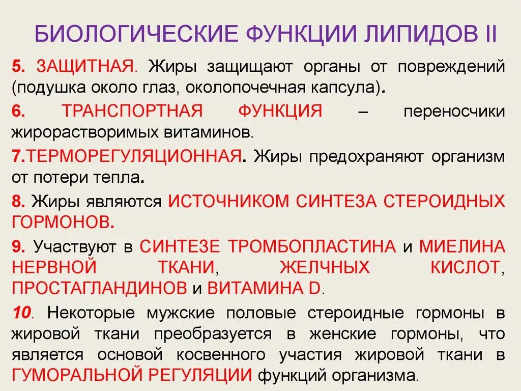 Защитный липид. Липиды. Биологические функции липидов.. Функции липидов в организме. Функции жиров липидов. Функции липидов биология.