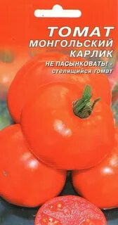Томат монгол карлик фото описание