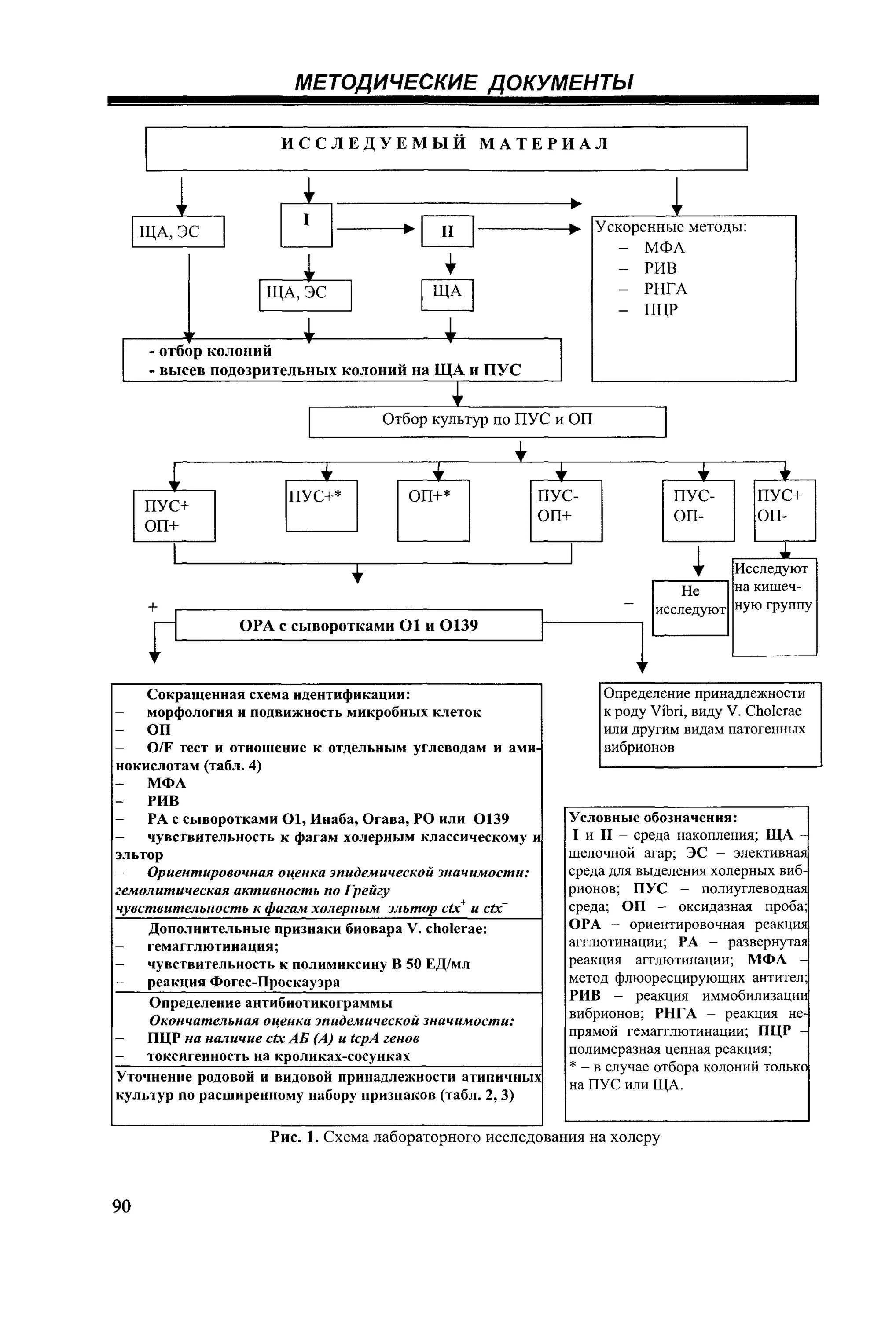 Холера лабораторная