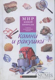Книга камешек