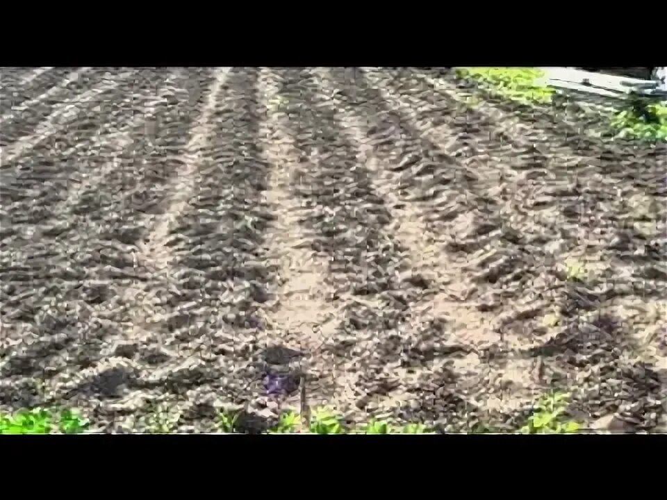 Как сажать картошку после трактора