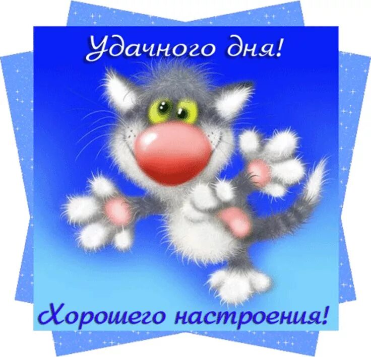 Желаю вам удачного дня. Удачного дня и хорошего настроения. удачного рабочего дня и хорошего настроения. хорошего дня прикольные. хорошего дня и настроения прикольные.