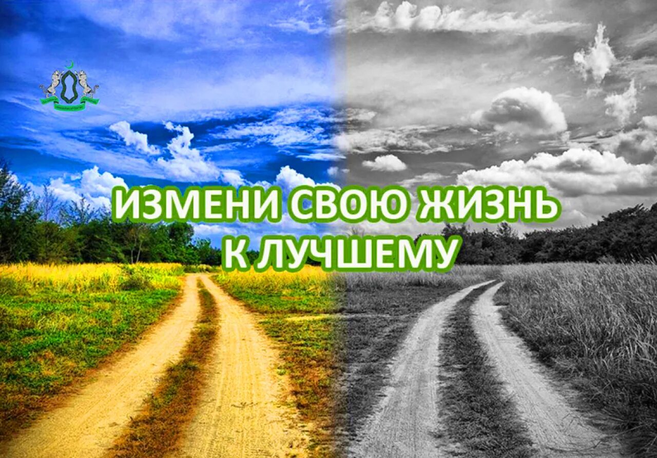 Утро заменившее жизнь. Меняем жизнь к лучшему. Изменить свою жизнь к лучшему. Изменения в жизни. Менять свою жизнь.