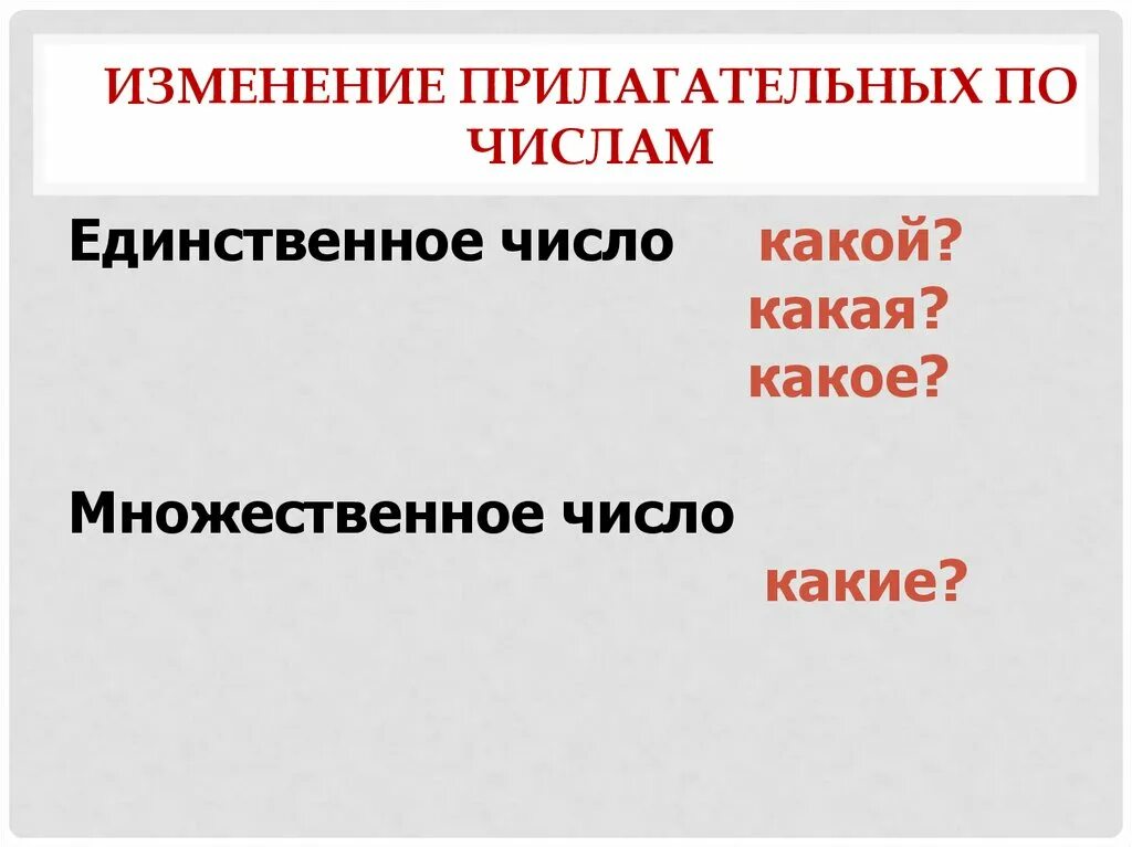 Число прилагательных 2 класс школа россии. Прилагательное правило 2 класс единственное и множественное число. Изменение имен прилагательных по числам. Прилагательные единственного и множественного числа. Единственные и множественные прилагательные.