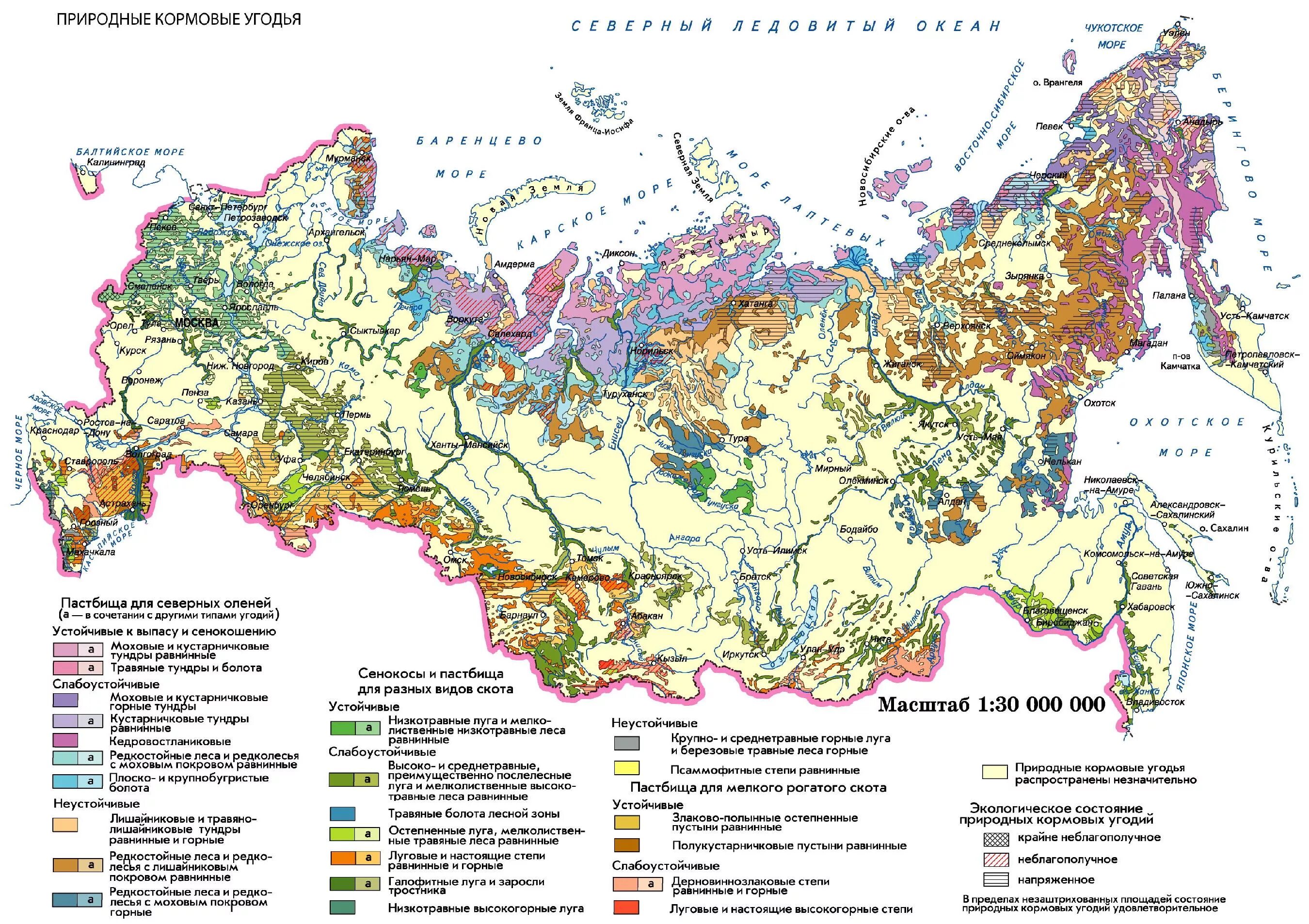 Состояние природных кормовых угодий. Карта сельскохозяйственных угодий. Пастбища России карта. Карта животноводства России. Животноводство природные зоны