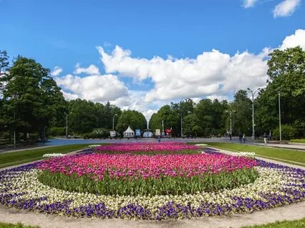 Где парк красив