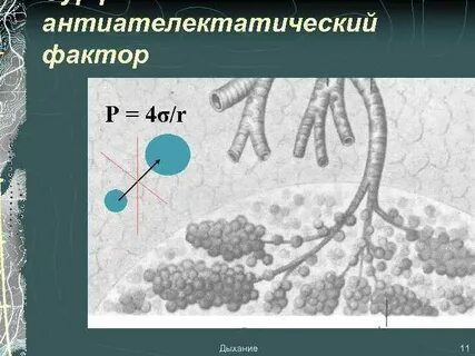 Дыхание 11
