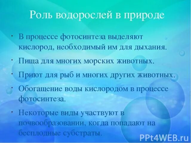 Водоросли выделяют кислород. Роль водорослей в природе. Ролл водорослей в природе. Водоросли дышат кислородом. Роль водорослей в жизни человека.