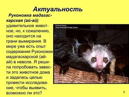 Ай ай девочка не скучай