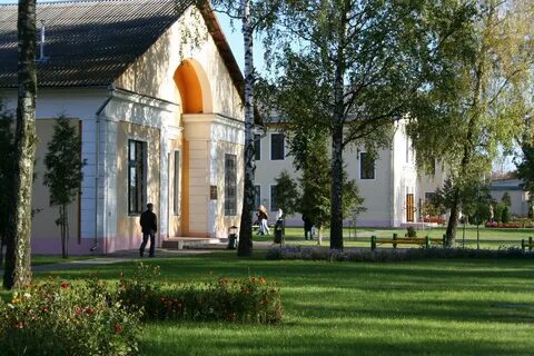 Баргу