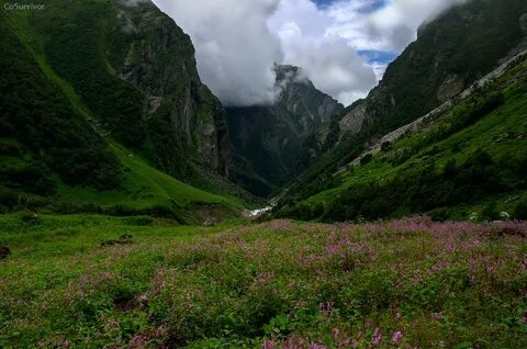 Valley долина
