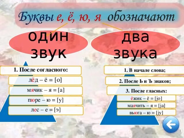 Буква ю обозначает два звука после гласного. Буквы обозначающие один звук. буква е обозначает один звук в слове. после согласного один звук в слове. буква ё обозначает 1 звук.