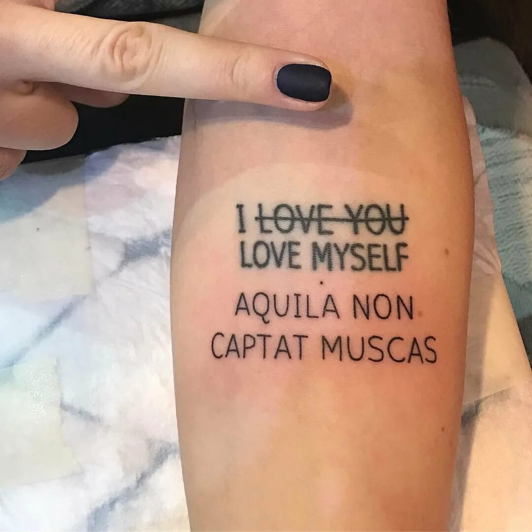 Aquila non captat перевод. Aquila non captat перевод. Орел не ловит мух. Латинские крылатые выражения. Aquila non captat muscas перевод.