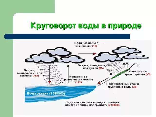 Внутриконтинентальный круговорот воды в природе. Круговорот воды в природе в виде семантической сети. Круговорот воды в природе схема. Цикл круговорота воды.