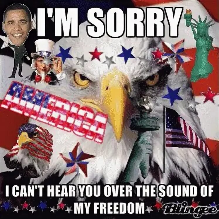 I can t hear. America Freedom. Мемы с Freedom America. USA Freedom meme. Emmie America Свобода.