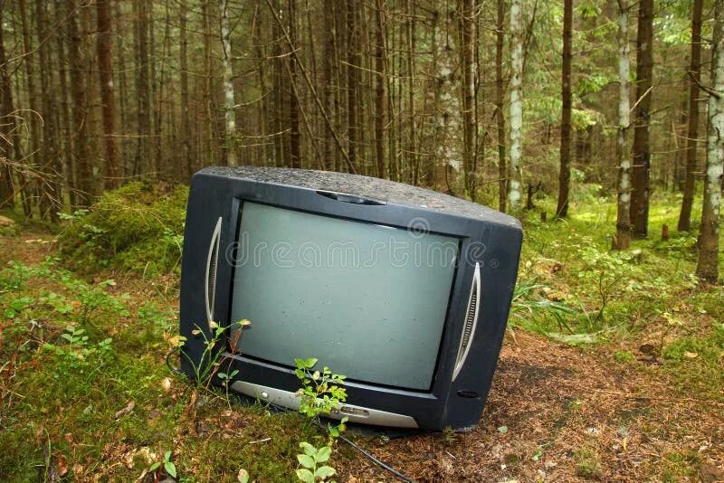 Куплю телевизор старый оскол. Старый телевизор. Телевизор в лесу. Старый телевизор в лесу. Телевизор для леса.