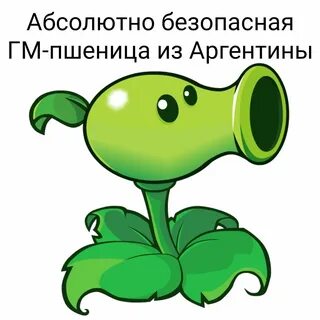 Plants vs отзывы