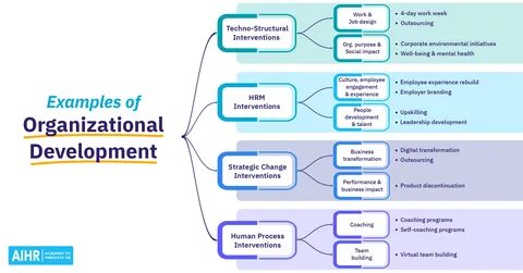 18 Organizational Development Examples From Companies.