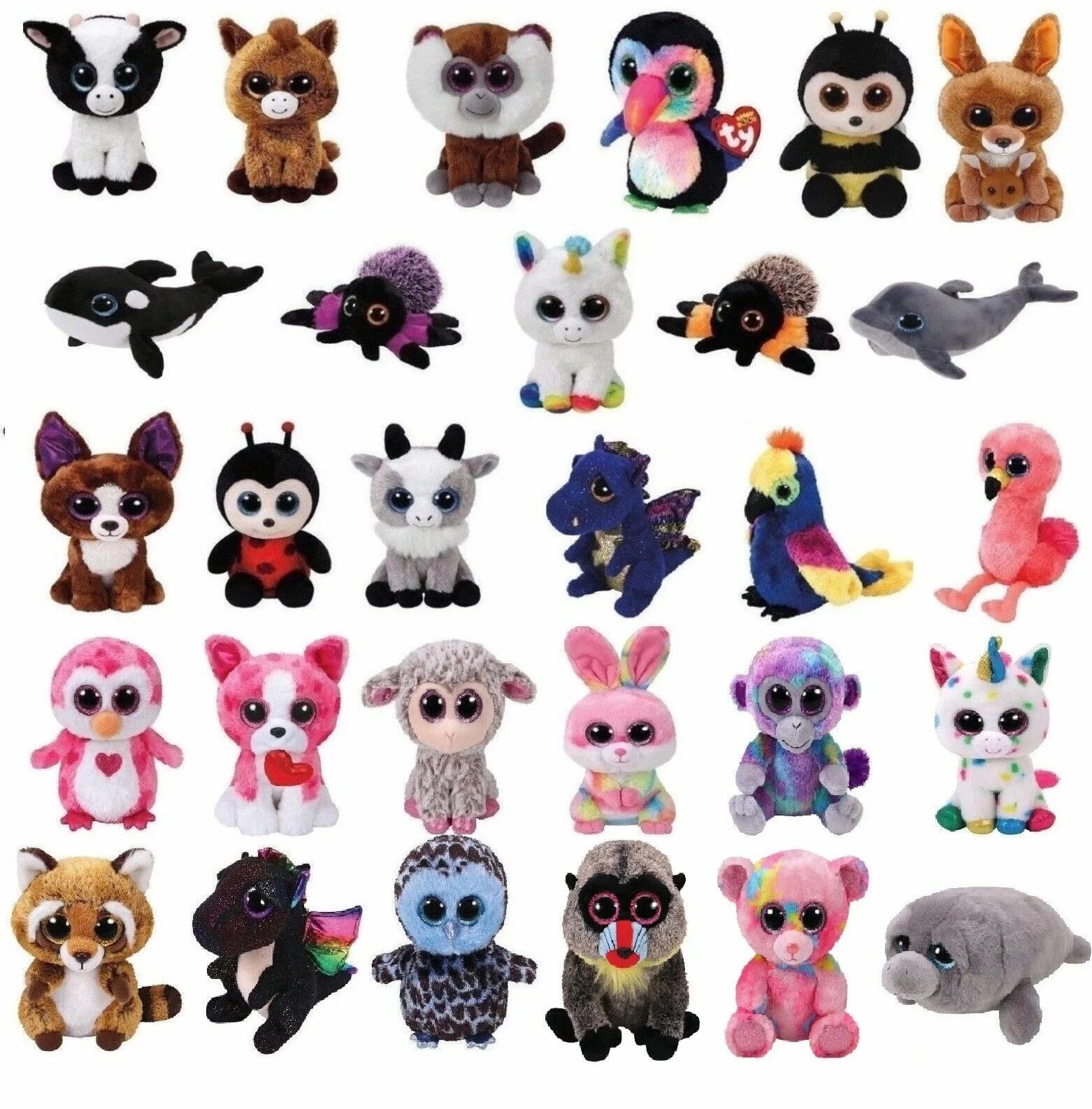 Игрушки ty бини бэби. Ty Beanie Boos Глазастики. Ty Beanie Boos collection. Beanie Boo's' игрушки Boo'. Коллекция игрушек купить