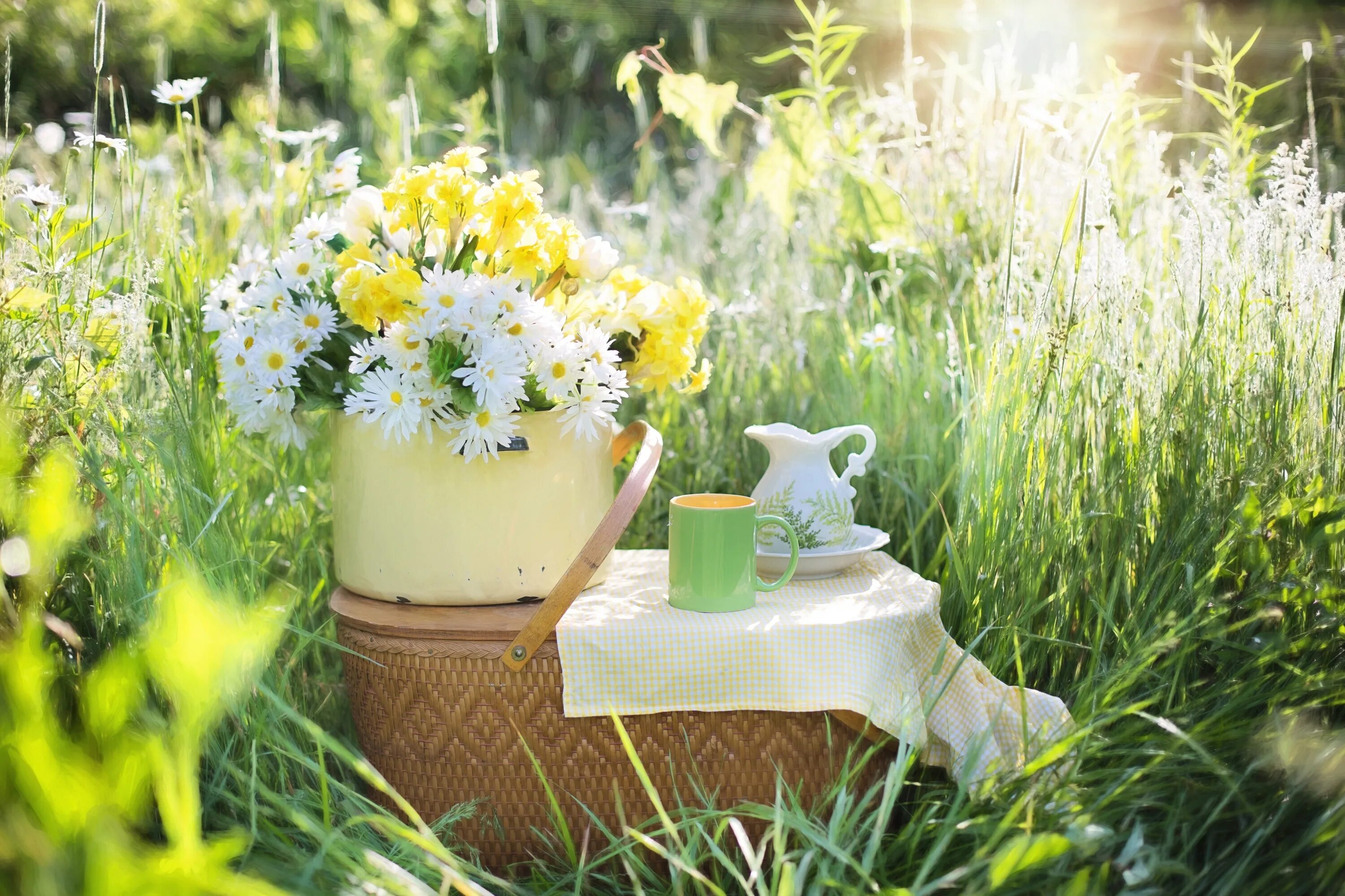 Красивые картинки летнего утра. Утро лето. Чаепитие в саду. Чай в саду. Летнее чаепитие в саду.