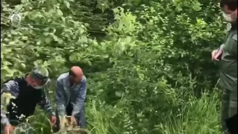 Следственный эксперимент видео