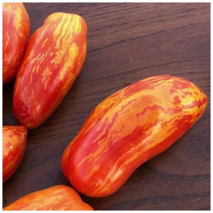 томат матросик. томат матросик характеристика. матросик полосатый томат. томат матросик. сорт помидор матросик.