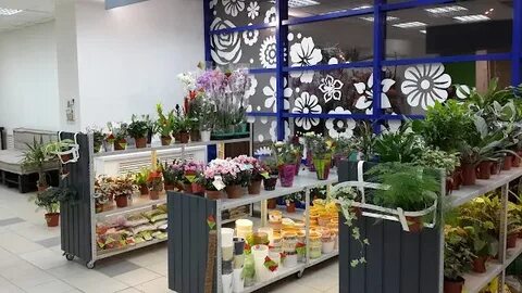 Цветы воткинск цветобаза