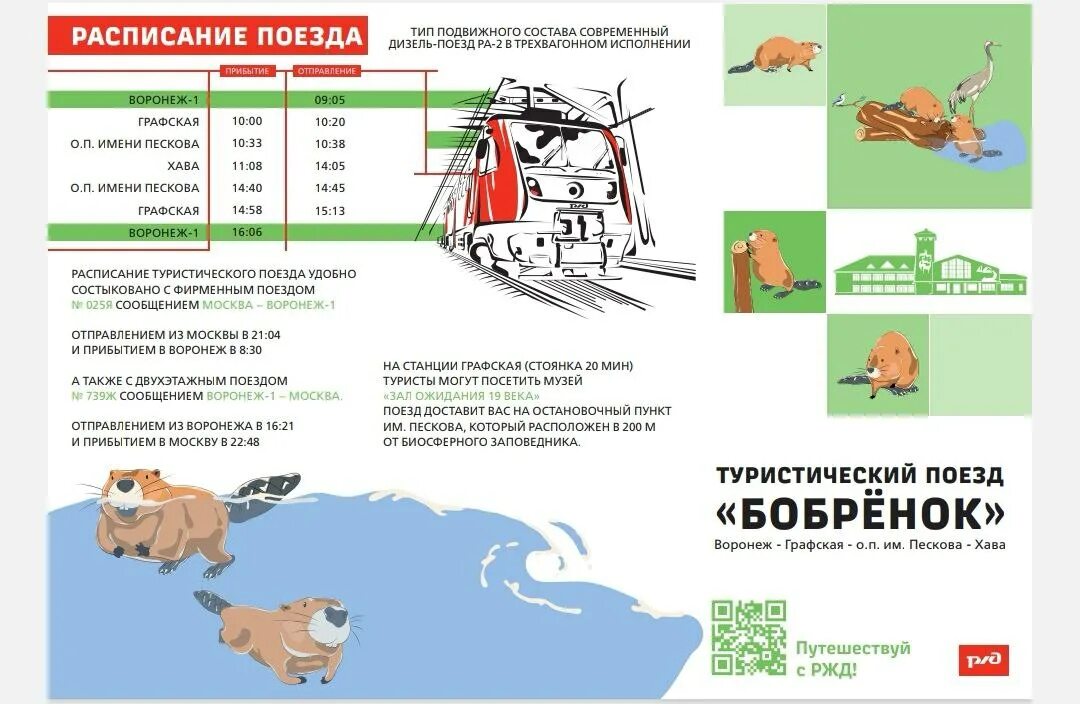 Туристический поезд бобренок. Поезд Бобренок туристический. Поезд Бобренок Воронеж. Туристический поезд Бобренок Воронеж фото. Заповедник Бобренок.