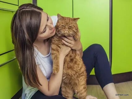 Коты лучше женщин