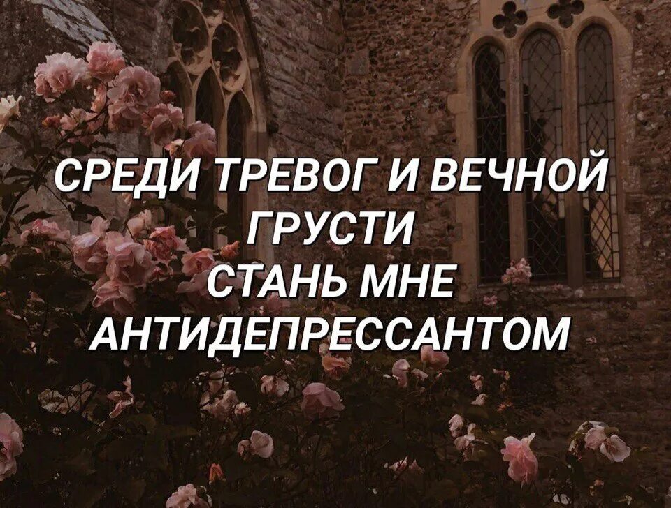 Среди тревог и вечной грусти. Среди тревог и вечной грусти Стань мне. Среди тревог и вечной ГРУТИ С Тань мне анти. Стань мне антидепрессантом. Среди тревоги вечной грусти стань мне антидепрессантом