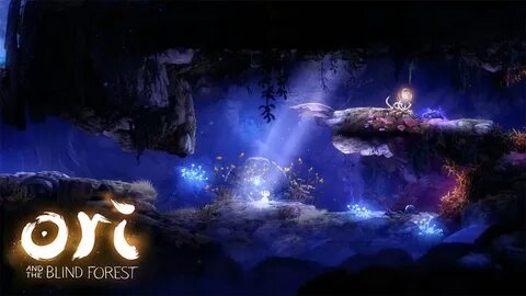 Blind forest