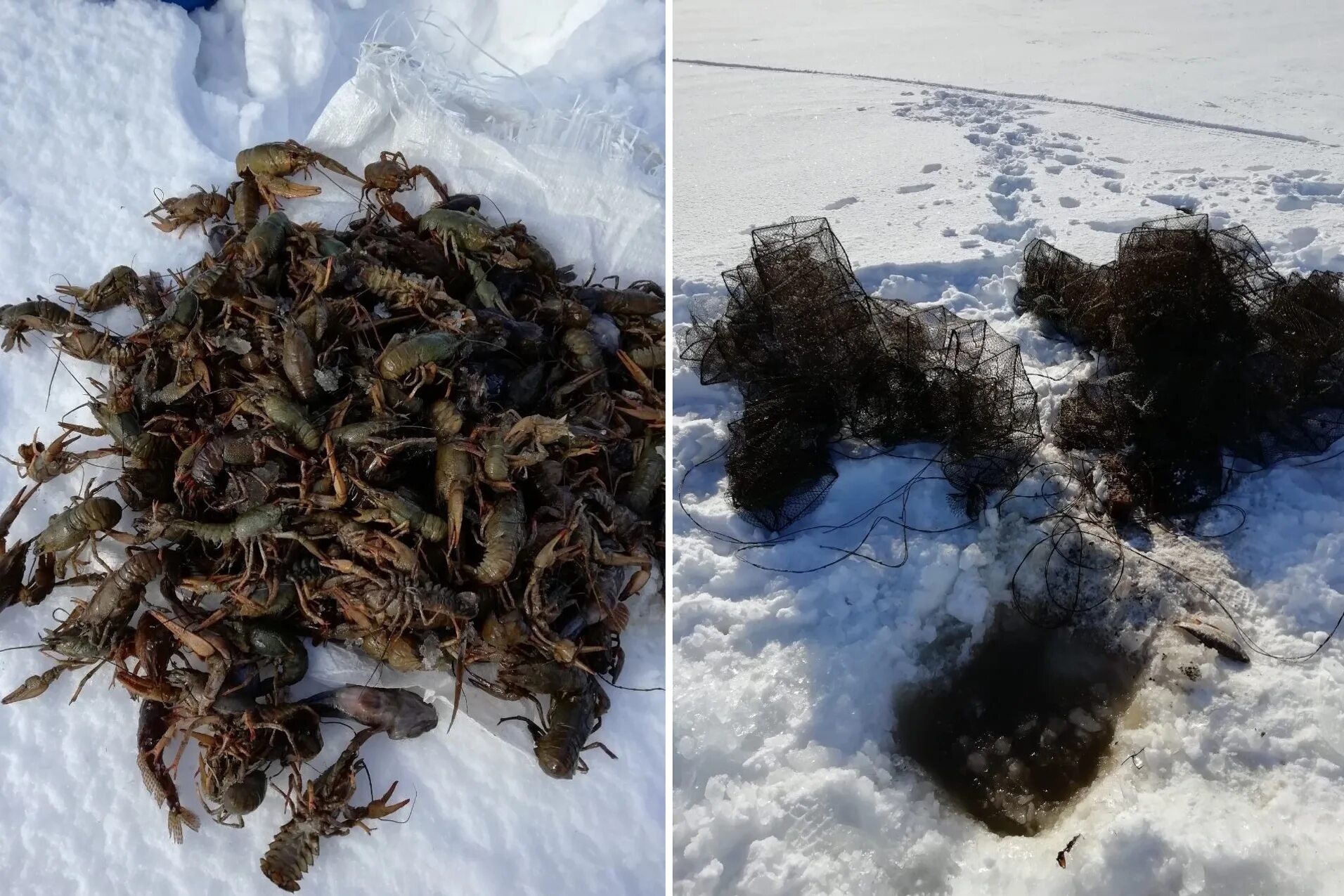 Логотипы раковых ресторанов. Раковая на ходынке. Раковый улов. Раковая на ходынке. Раковая.