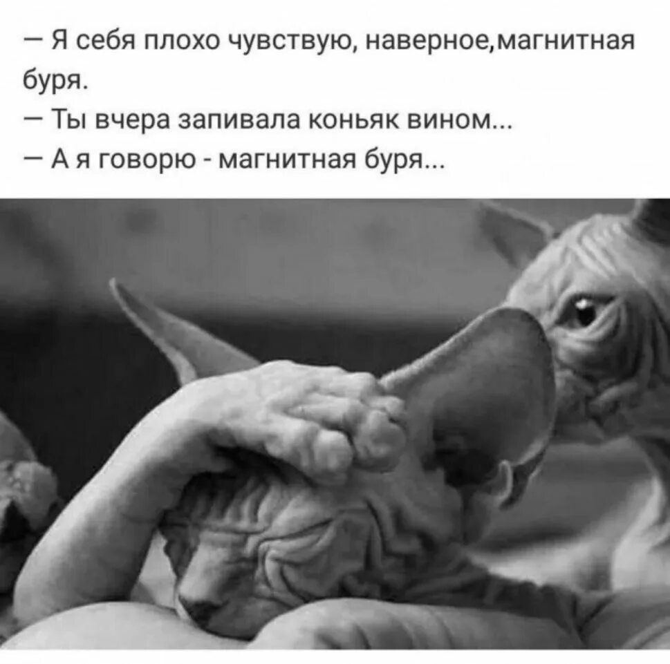 Ты вчера мне говорил то же самое