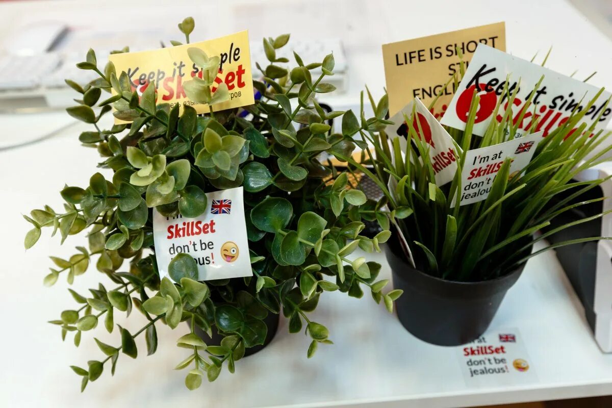 Санкт-петербург школа английского языка александра. Skillset школа английского. Школа английского языка санкт петербург. Skillset санкт петербург большая конюшенная. Школа английского языка санкт петербург.