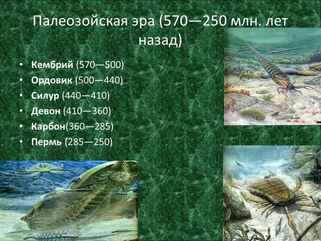 Палеозой какая эра. Палеозойская Эра периоды животные. Палеозой 6 периодов. Палеозойская Эра Ордовик. Палеозой Эра Кембрий.