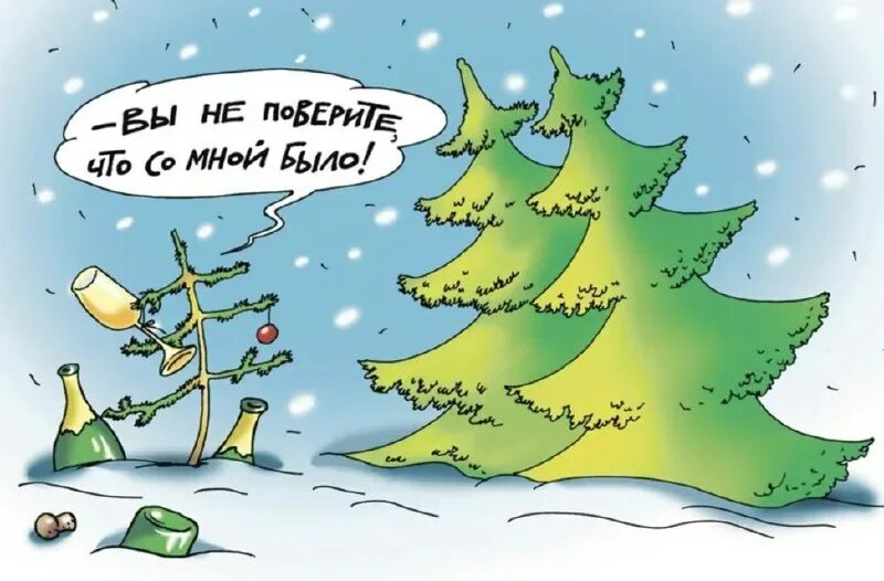 Ищу елку