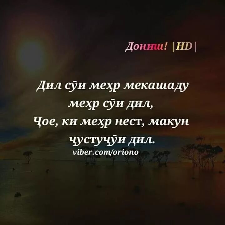 Эссе бо забони тоҷикӣ. Точикам бо точикистон зиндаам эссе. Эссе дар бораи китоб. Эссе дониш андар дил чароги равшан аст. Эссе дониш.