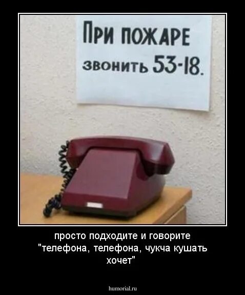 Чукчи коряки ительмены эскимосы. Шутки про чукчу. Анекдот про чукчу и телефон кушать хочет. Анекдоты про чукчу самые смешные. Шутки про чукчу.