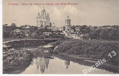 Ельце орловская